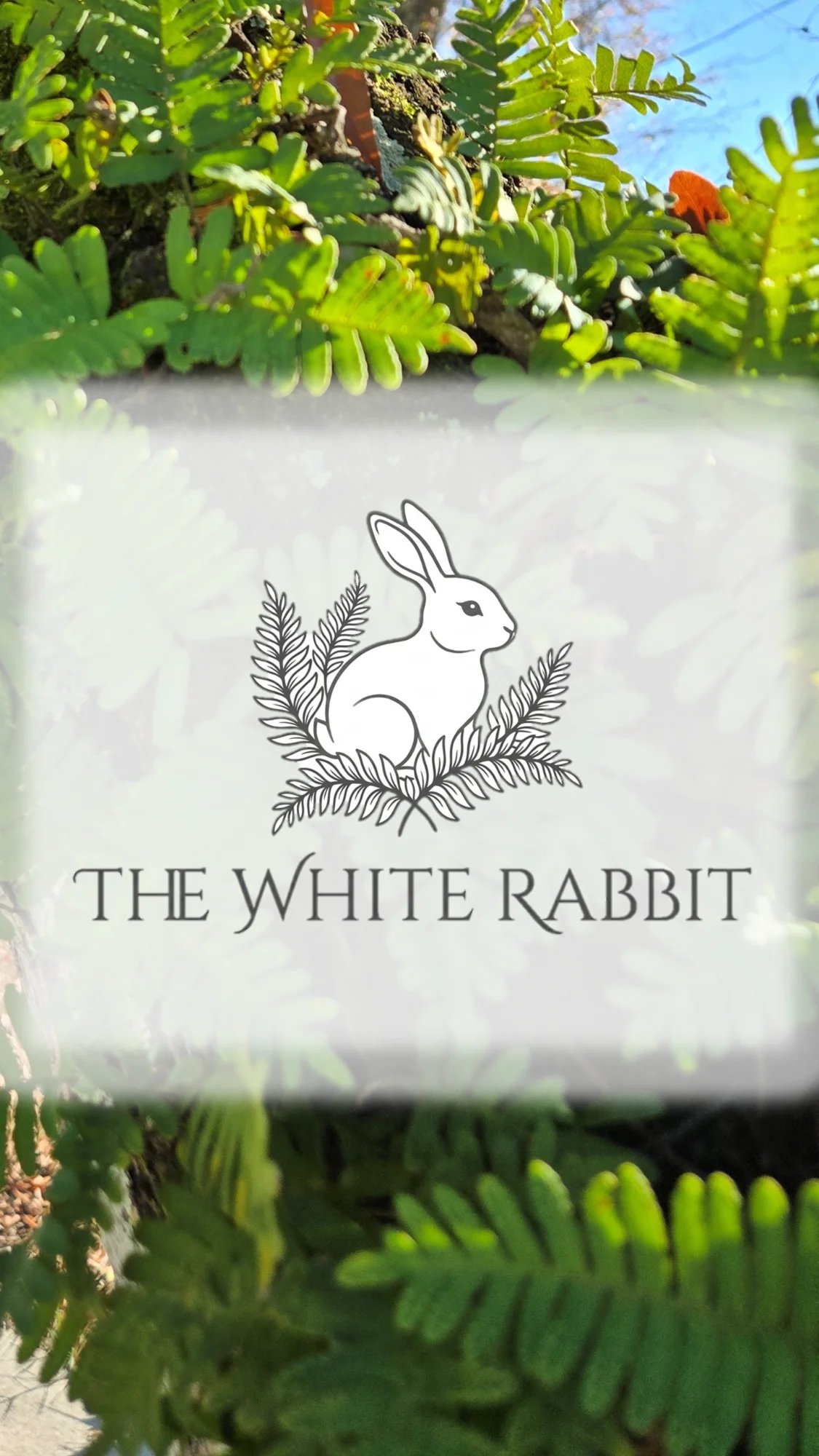 The White Rabbit